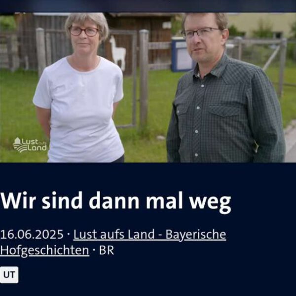 Fernsehbild
